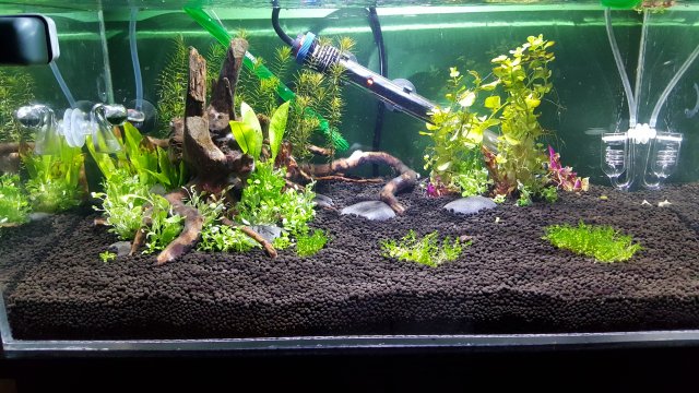 20161202_184941.jpg