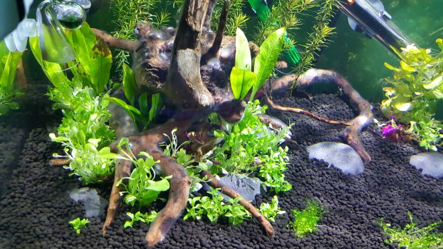 20161202_184959.jpg