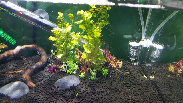 20161202_185004.jpg