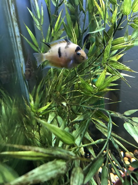 IMG_7110.JPG IMG_7110.JPG