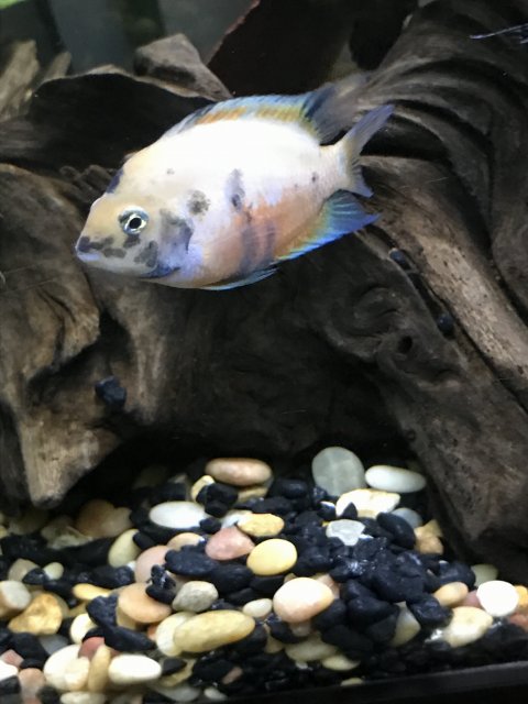 IMG_7113.JPG IMG_7113.JPG