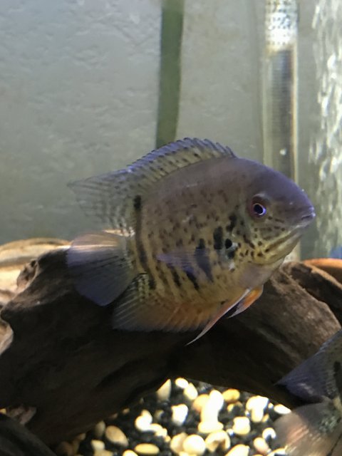 IMG_7112.JPG IMG_7112.JPG