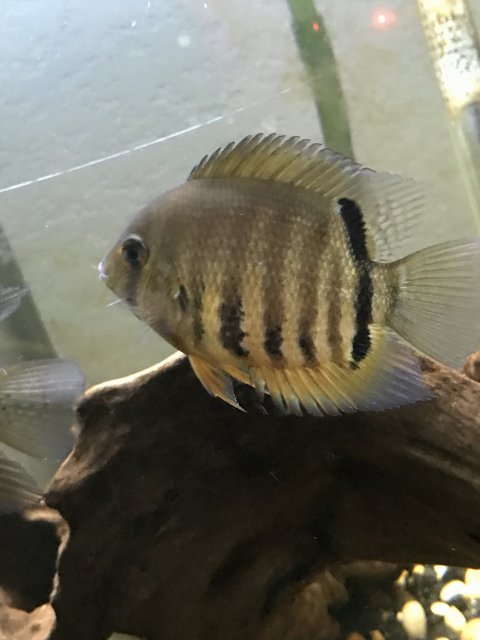 IMG_7119.JPG IMG_7119.JPG