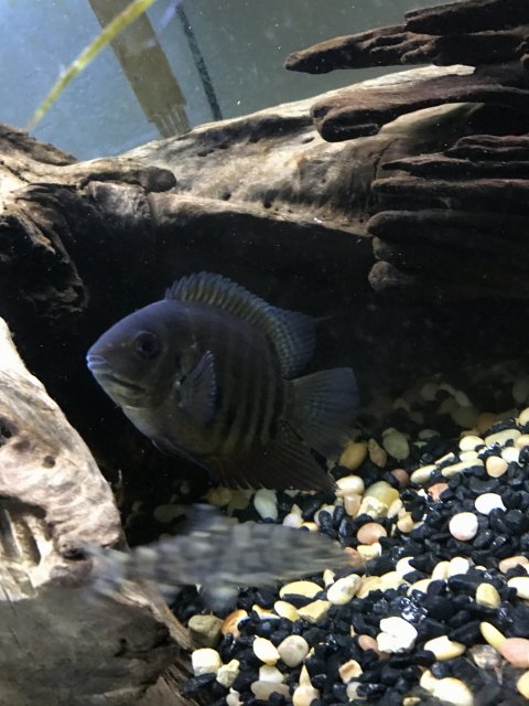 IMG_7127.JPG IMG_7127.JPG