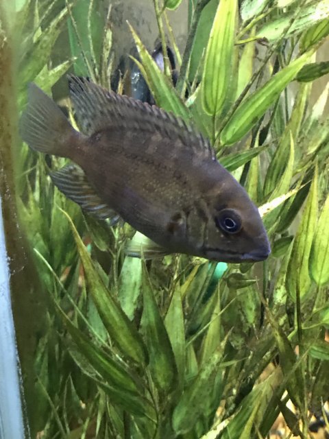 IMG_7117.JPG IMG_7117.JPG