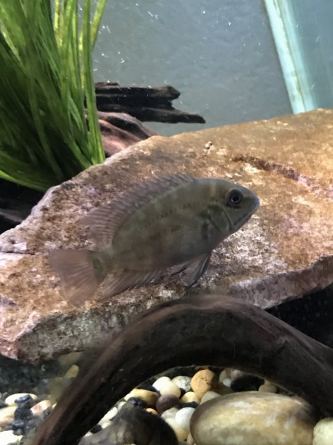 IMG_7122.JPG IMG_7122.JPG