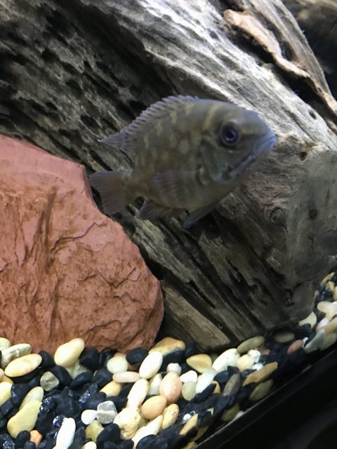 IMG_7124.JPG IMG_7124.JPG