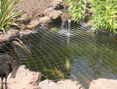 heron-pond-netting.jpg