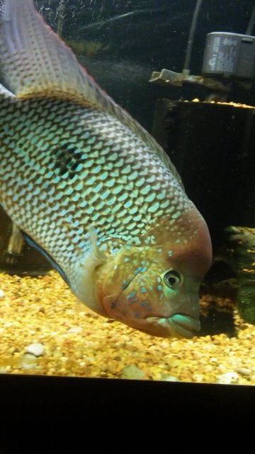 20161130_201421.jpg 20161130_201421.jpg