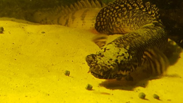 20161205_163929.jpg