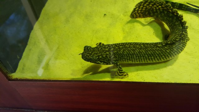 20161205_125146.jpg