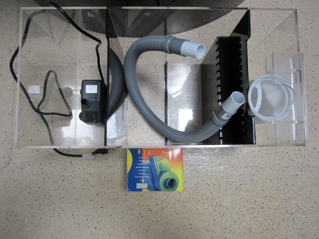 IMG_1168.JPG IMG_1168.JPG