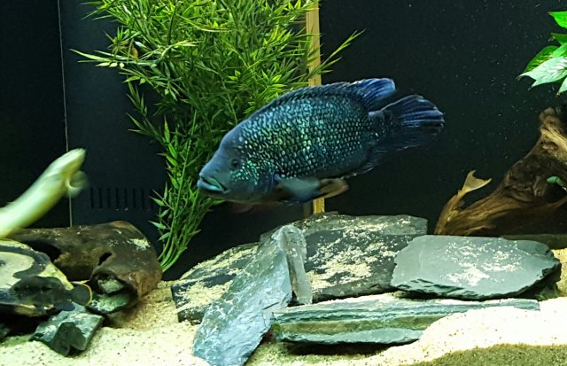 20160217_205301-1.jpg