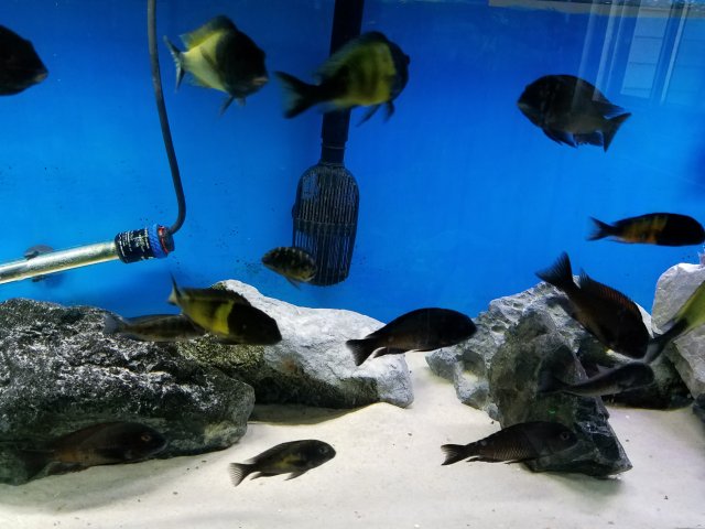 20161023_144022.jpg