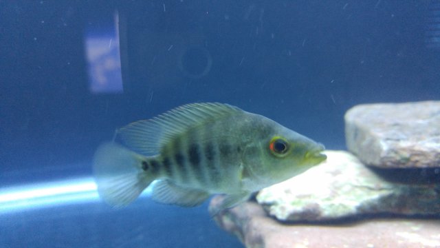 20161206_202448[3].jpg