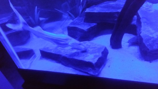 20161128_175231.jpg 20161128_175231.jpg