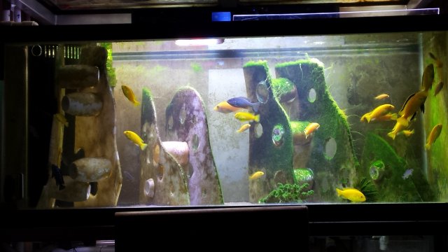20161210_070352.jpg