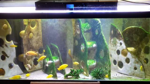 20161210_151117.jpg