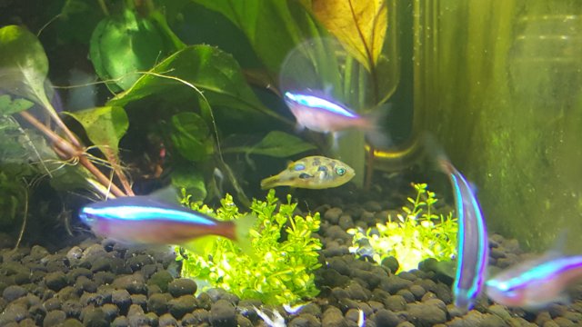 20161210_165748_006.jpg