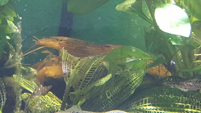 20161210_170641_013.jpg
