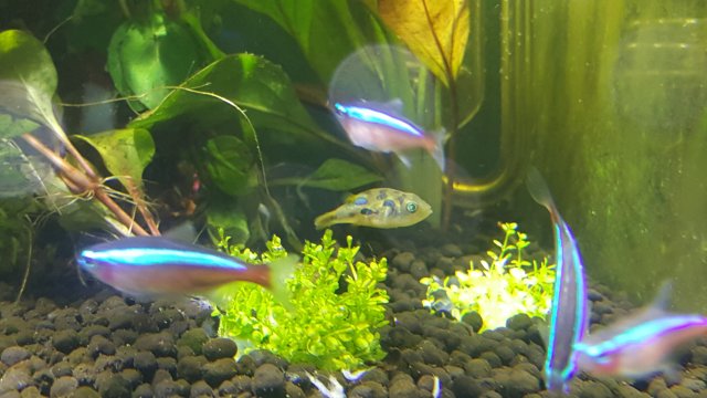 20161210_165748_007.jpg