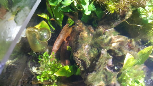 20161210_160727.jpg