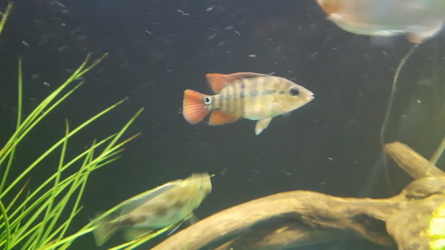 20161210_175705.jpg