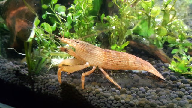 20161210_195623.jpg