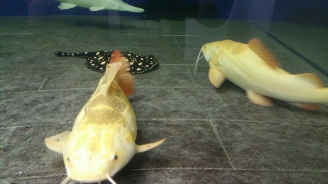 20161210_151307.jpg