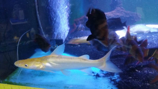 20161210_145436.jpg