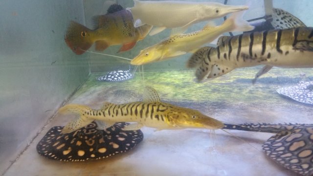 20161210_145339.jpg