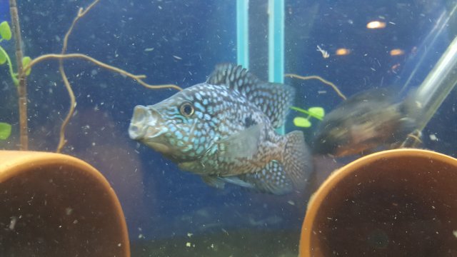 20161204_103214.jpg