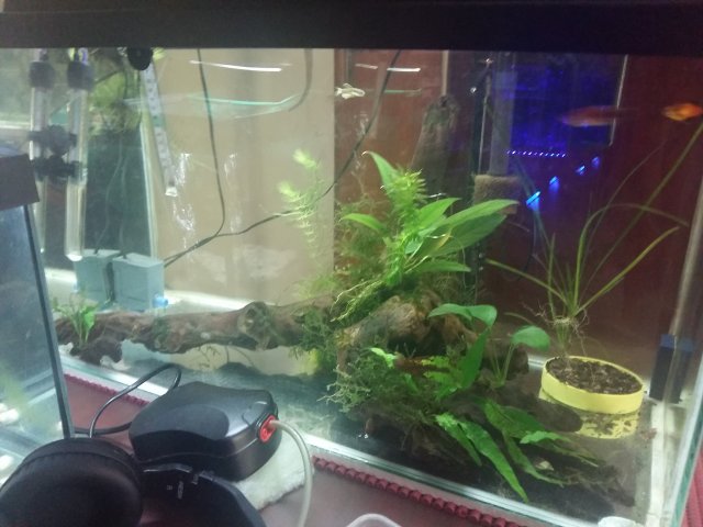 20161212_132922.jpg