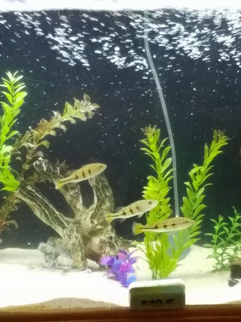 20161215_154040.jpg