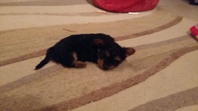 20160911_194812.jpg