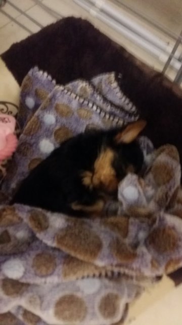20160902_214312.jpg