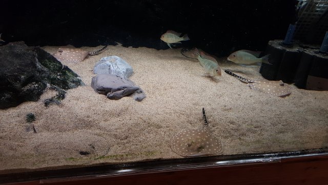 20161216_140119.jpg