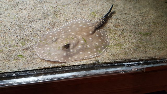 20161216_140006.jpg