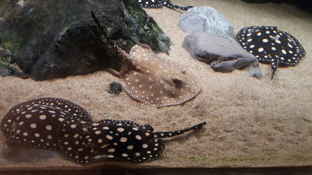 20161216_142138.jpg