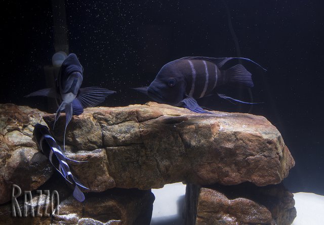 front1.jpg front1.jpg