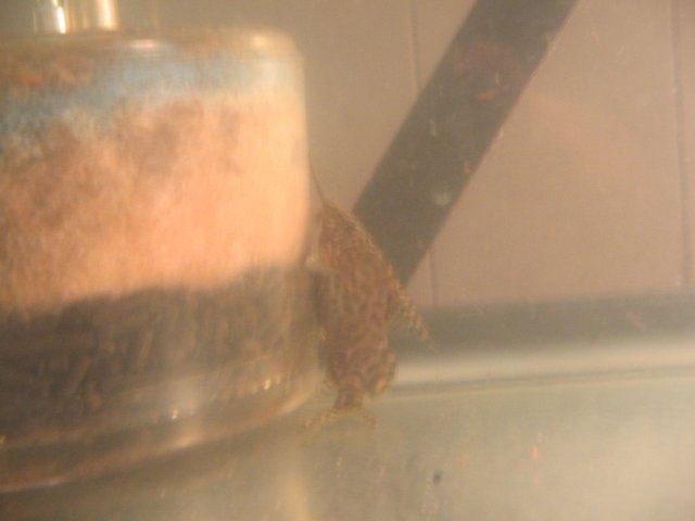 STE_2114.JPG STE_2114.JPG