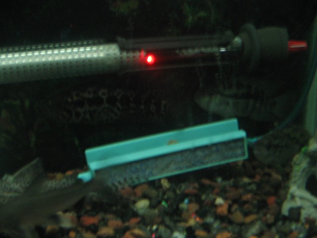 STV_1822.JPG STV_1822.JPG