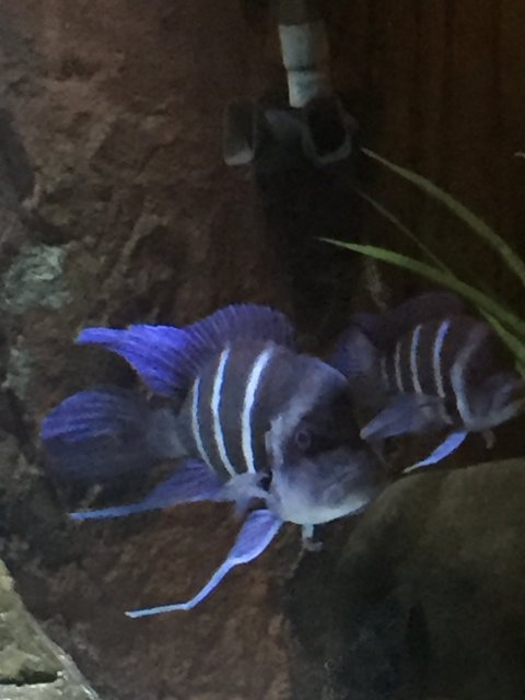 image.jpeg image.jpeg