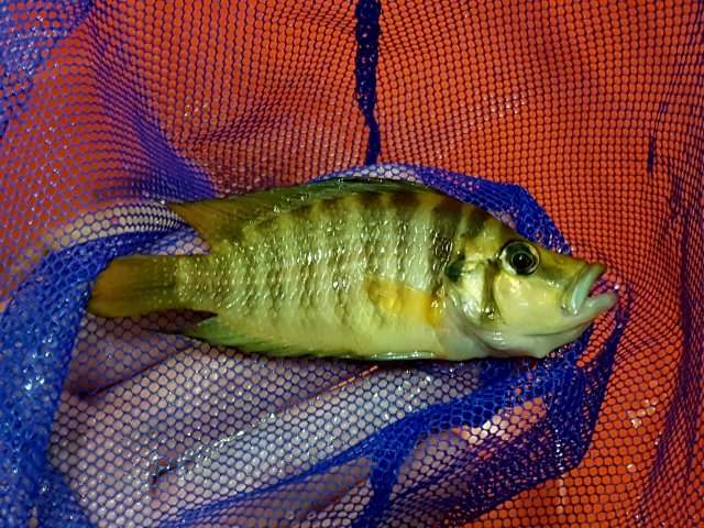 20161112_210222.jpg 20161112_210222.jpg