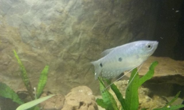 20161219_195154.jpg