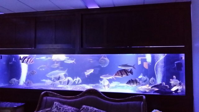 20151116_021139.jpg