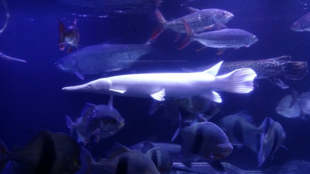 20160129_232639.jpg