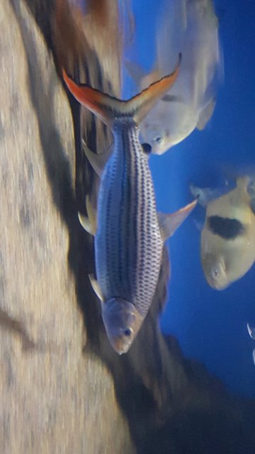20161220_165412_015.jpg