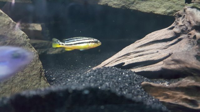 20161220_175858.jpg 20161220_175858.jpg
