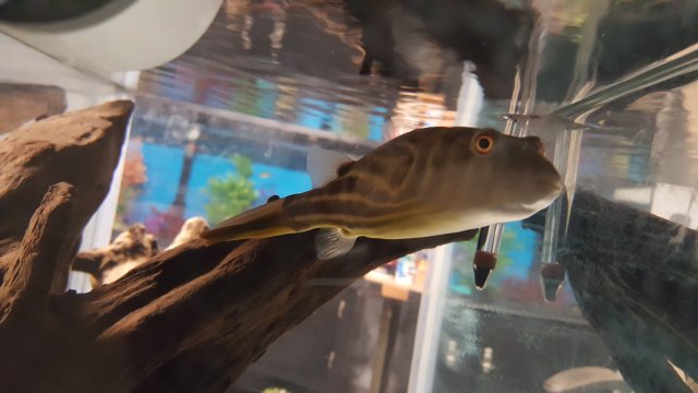 20161208_202613.jpg 20161208_202613.jpg
